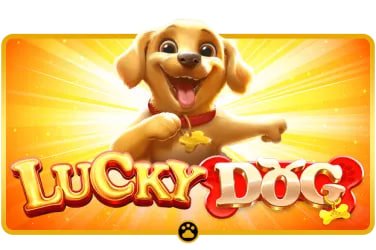 Slots Casino